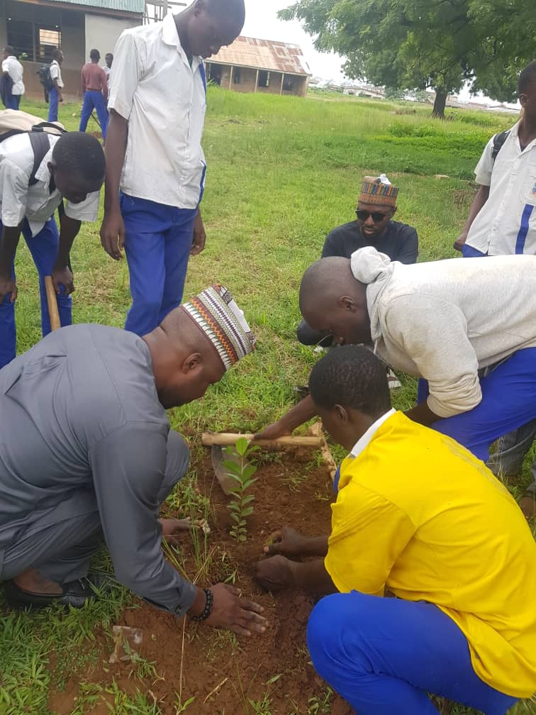 Secondary School Tree Planting Initiatives